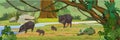 Peccary family near the river in the jungle. A tropical forest.